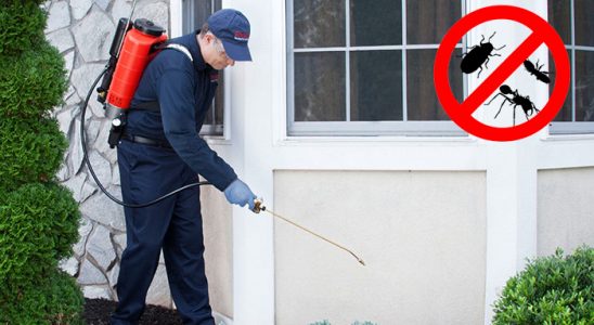 Ilgaz Kemirgen İlaçlama böcek ilaçlama ve haşere kontrolü — ilaclama-tr.com